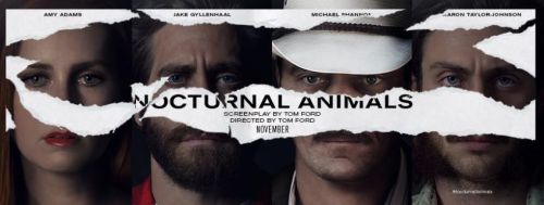nocturnal-animals-title-banner